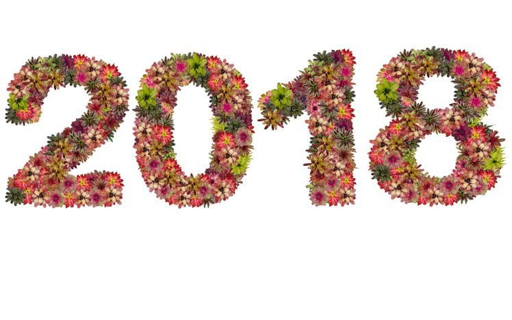 New year 2018 made from bromeliad flowers