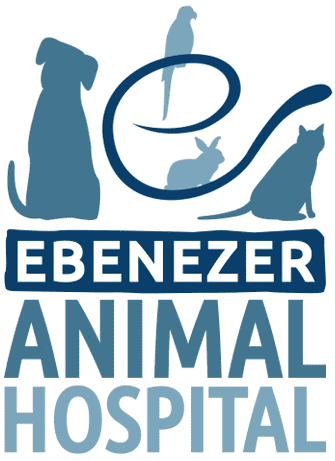 Ebenezer-Animal-Hospital-Logo